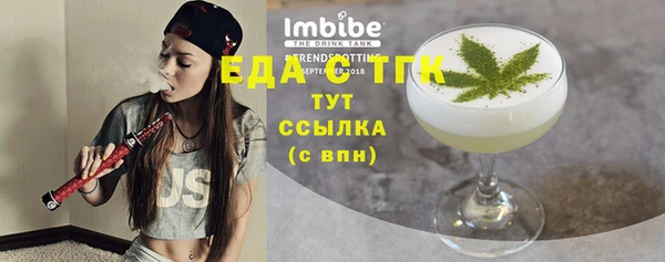 гидра Верхний Тагил