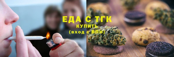 гидра Верхний Тагил