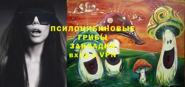 гидра Верхний Тагил