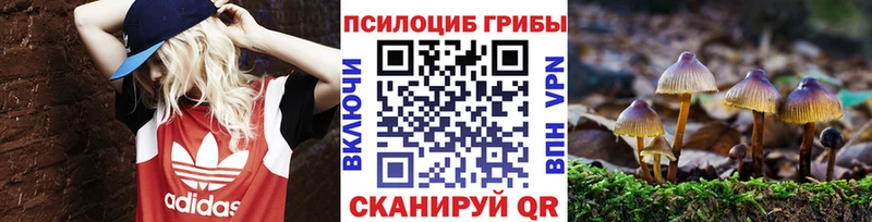 Купить закладки  Мантурово  Галлюциногенные грибы Cubensis 
